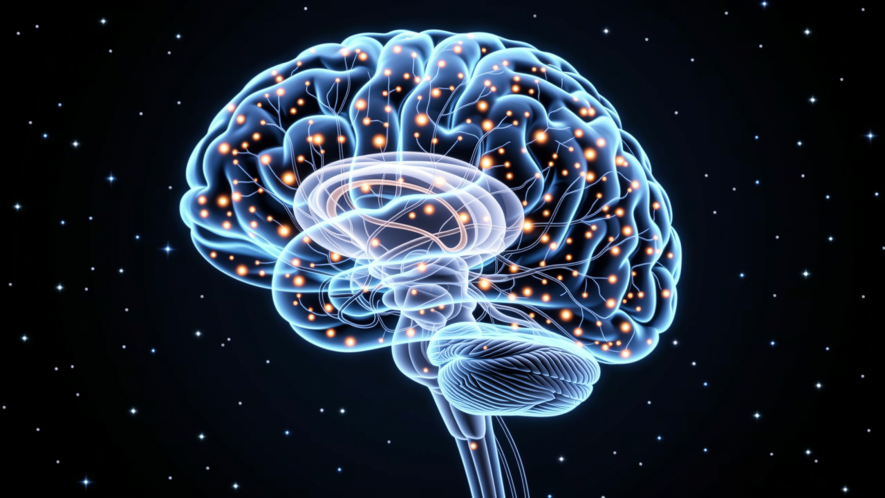 🔬 Fakta Sains #9: Jumlah Neuron dalam Otak Manusia Setara dengan Bintang-bintang di Galaksi Bima Sakti